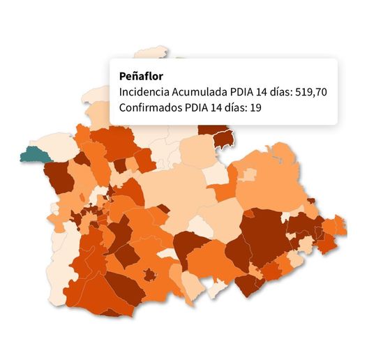 139781754_1918221285002495_174661664182382588_o