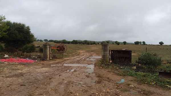 250645139_2148276961996925_828533622362543211_n