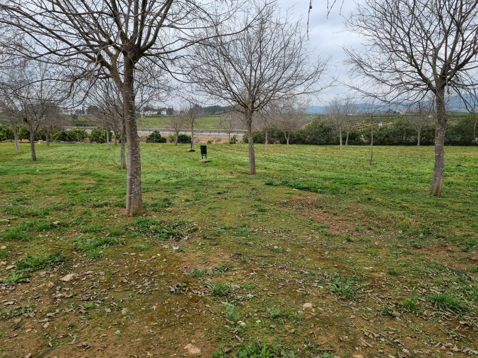 desbroce febrero 2021