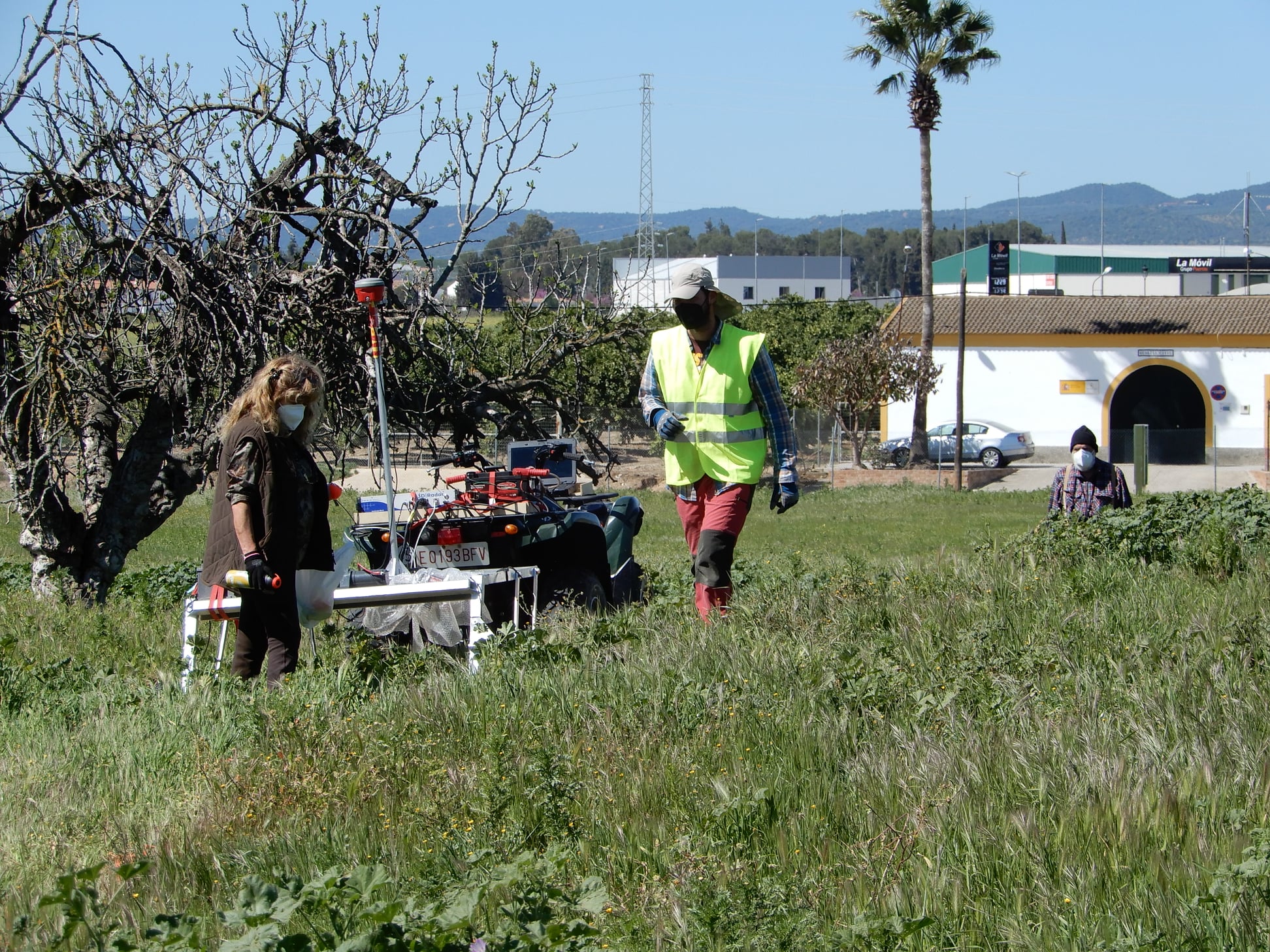 prospección en celti