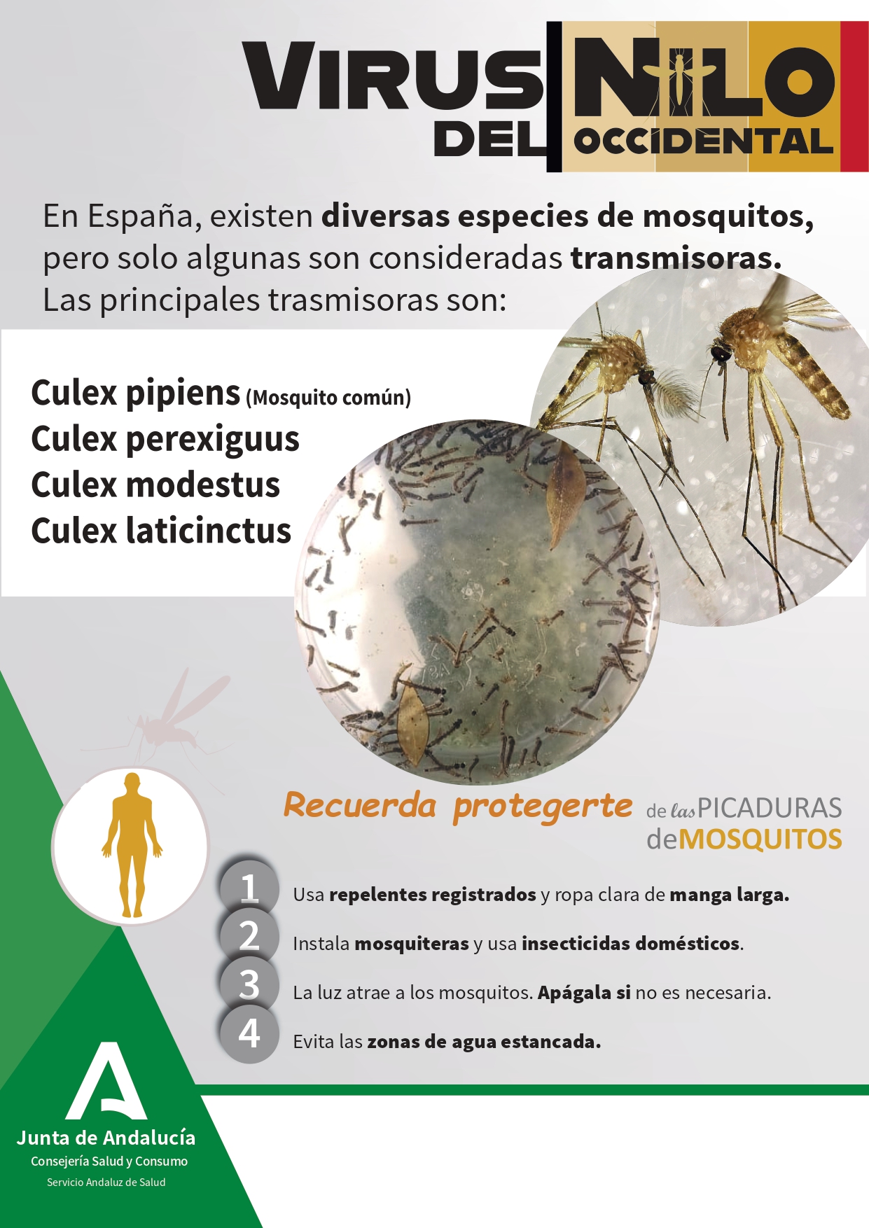 mosquitosVNO_page-0001