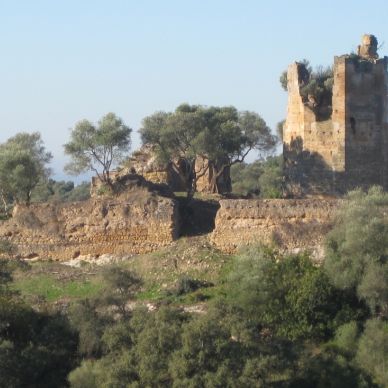 Castillo Almenara completo